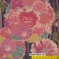 Preview: Kyo Momen lila